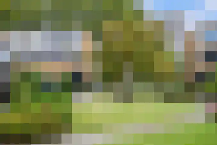 Endenburg 8 Rotterdam thumbnail 31