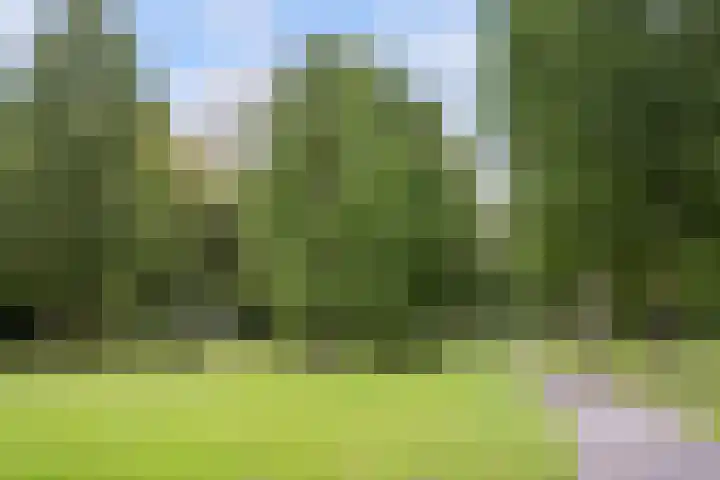 Endenburg 8 Rotterdam thumbnail 33
