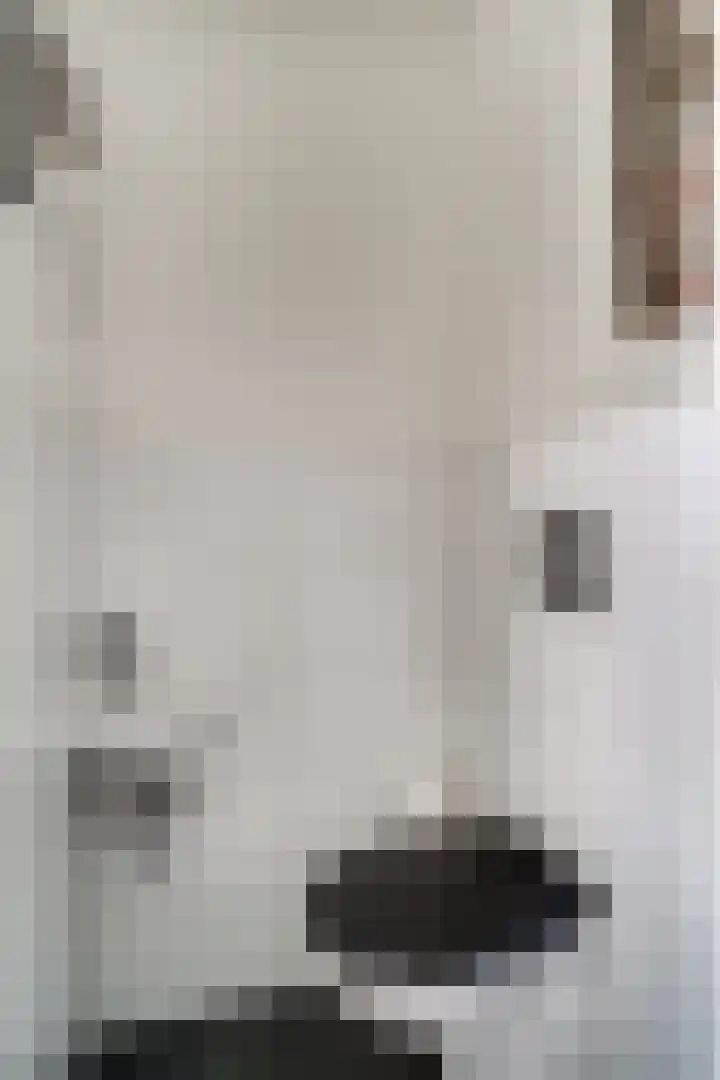 Endepoel 16 Huissen thumbnail 12