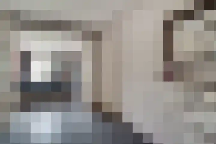 Endepoel 16 Huissen thumbnail 13