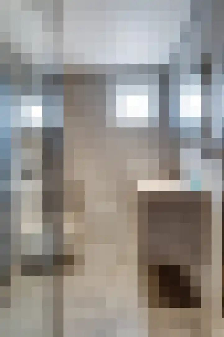 Endepoel 16 Huissen thumbnail 16
