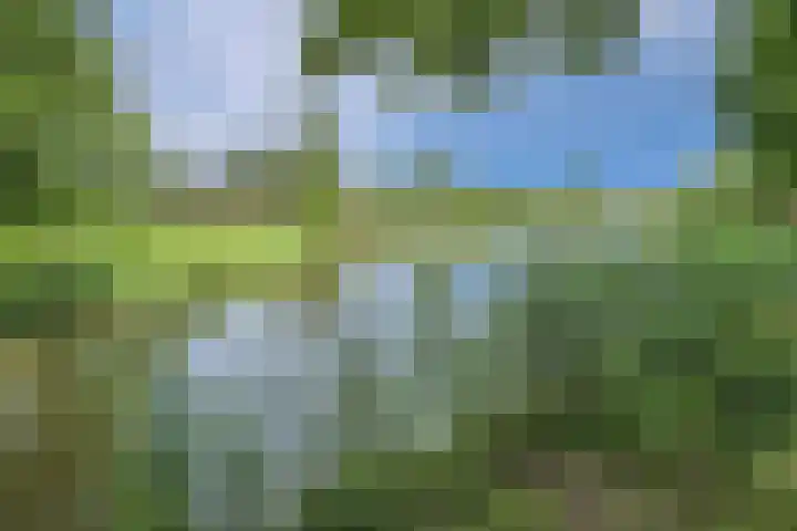 Endepoel 16 Huissen thumbnail 27