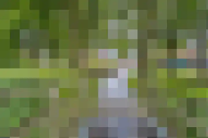 Endepoel 16 Huissen thumbnail 28