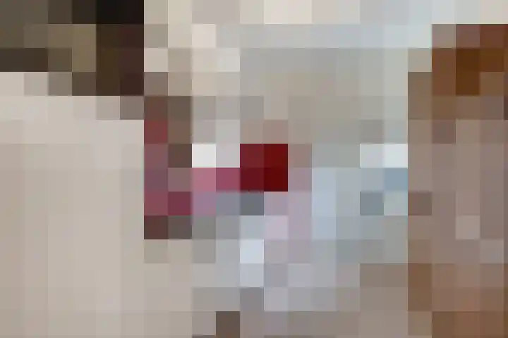 Endepoel 16 Huissen thumbnail 8