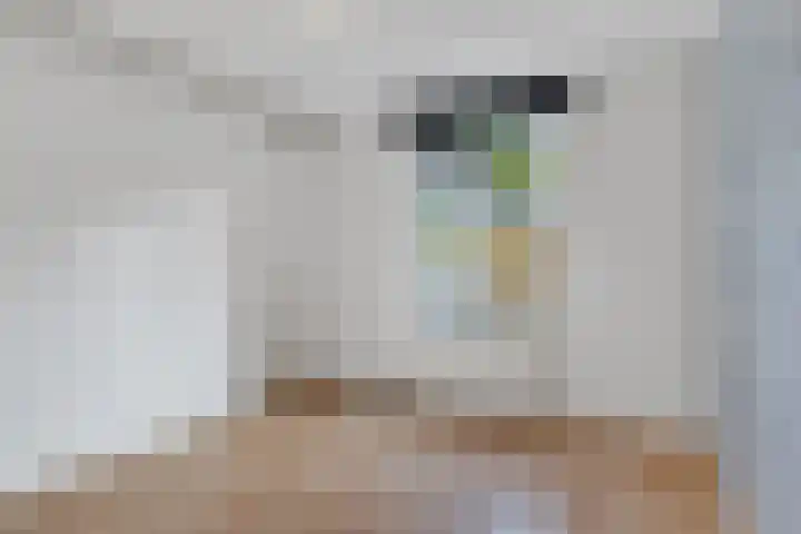 Endepoel 4 a Huissen thumbnail 22
