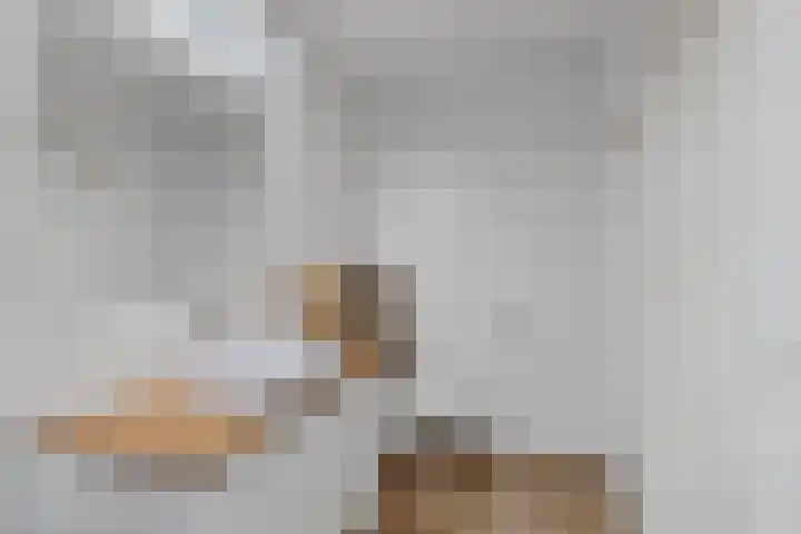 Endepoel 4 a Huissen thumbnail 28