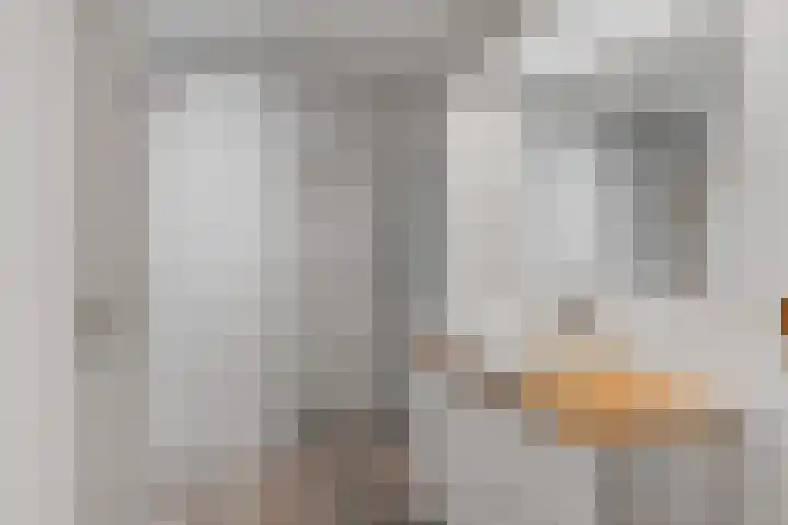 Endepoel 4 a Huissen thumbnail 29