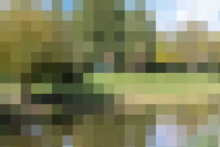 Endepoel 4 a Huissen thumbnail 31