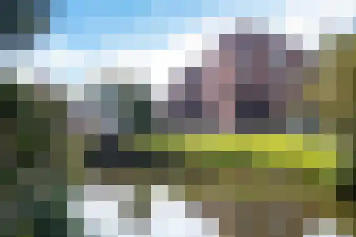 Endepoel 4 a Huissen thumbnail 32
