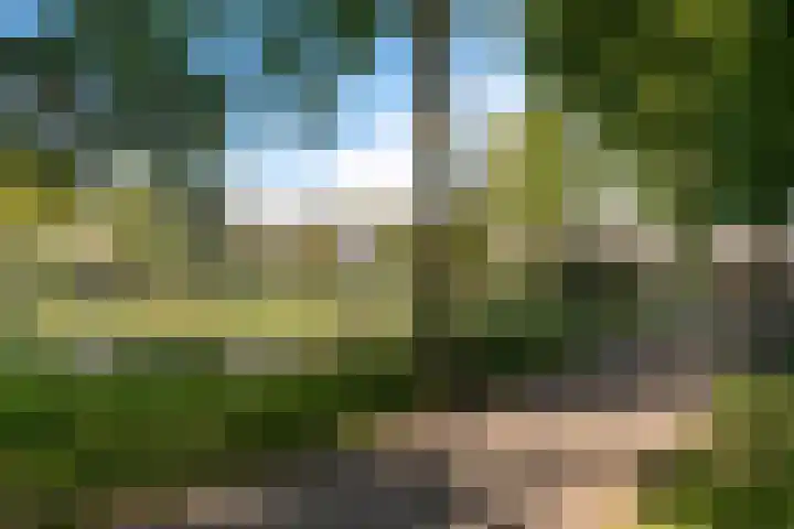 Endepoel 4 a Huissen thumbnail 34