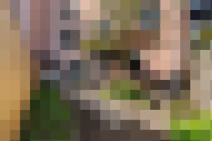 Endepoel 4 a Huissen thumbnail 7