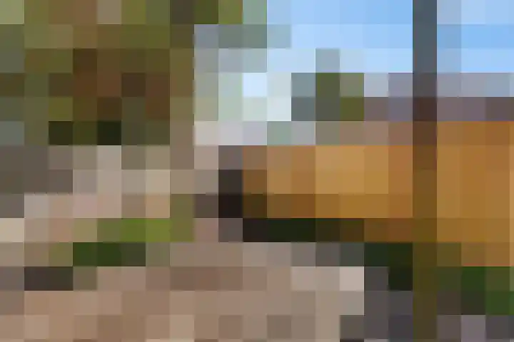 Endepoel 4 a Huissen thumbnail 8