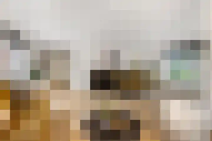 Endepoel 4 b Huissen thumbnail 14