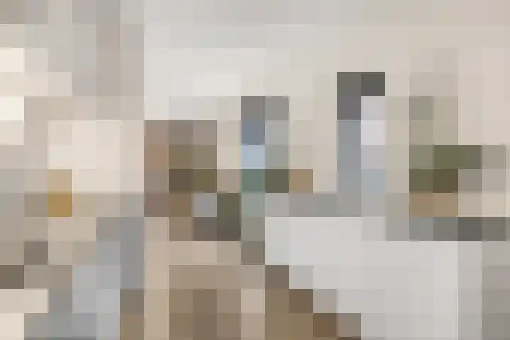 Endepoel 4 b Huissen thumbnail 17