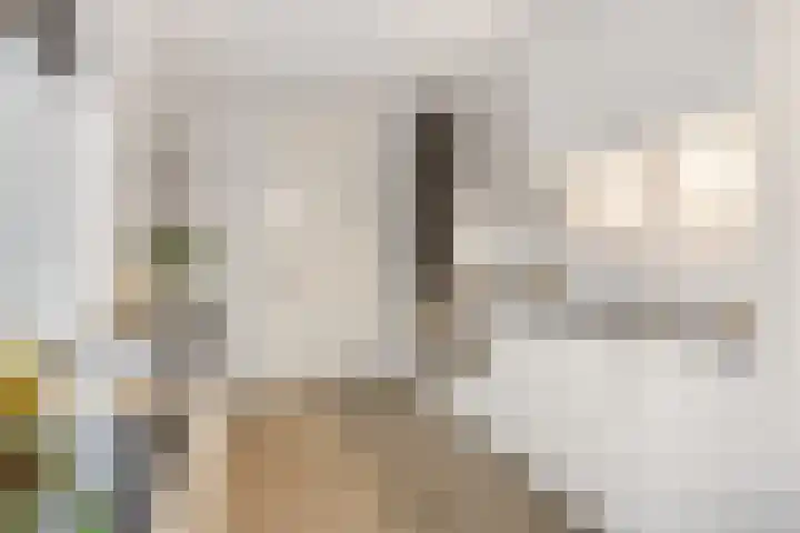 Endepoel 4 b Huissen thumbnail 19