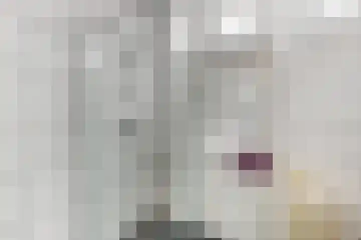 Endepoel 4 b Huissen thumbnail 24