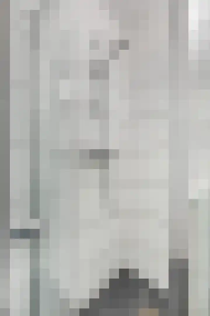 Endepoel 4 b Huissen thumbnail 25