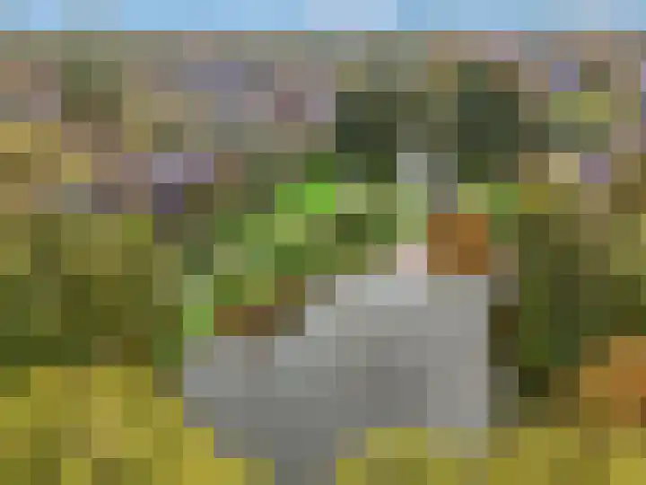 Endepoel 4 b Huissen thumbnail 39