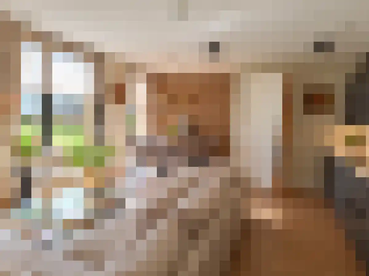 Endepoellaan 5 Warmond thumbnail 4