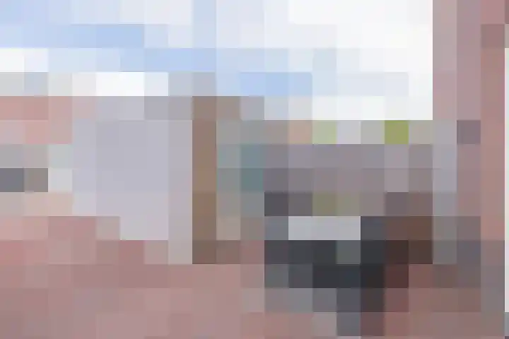 Endepoellaan 61 Warmond thumbnail 15