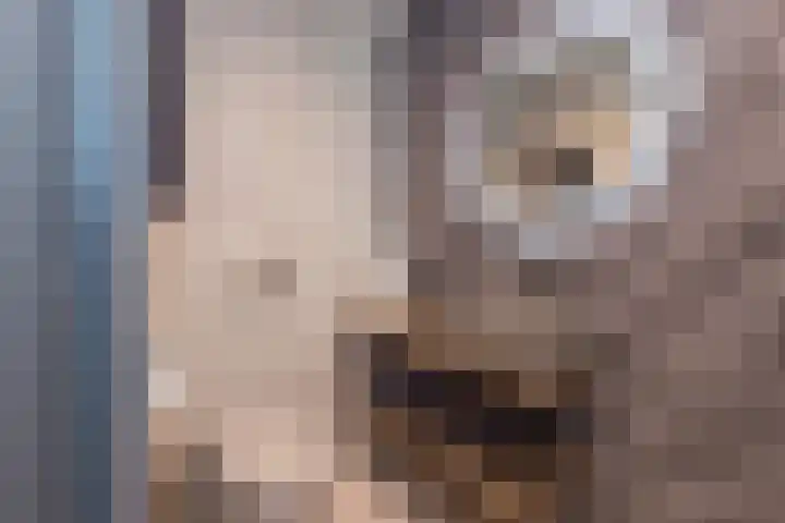 Endepoellaan 61 Warmond thumbnail 27