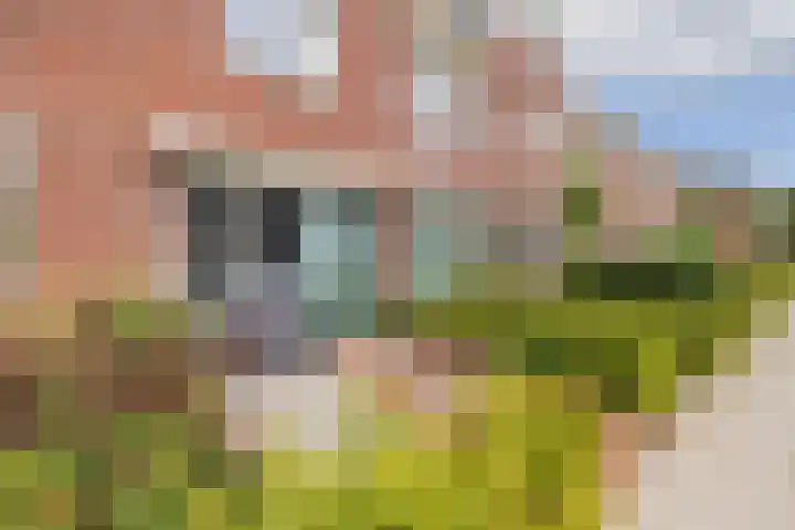 Endepoellaan 61 Warmond thumbnail 29
