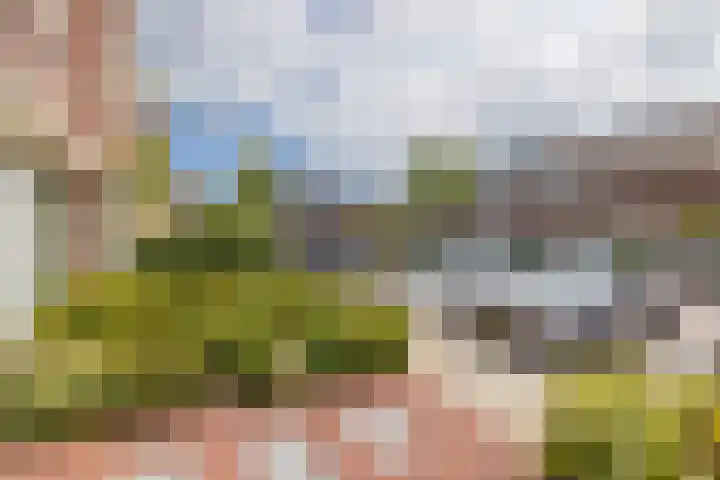 Endepoellaan 61 Warmond thumbnail 31