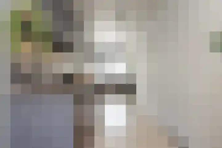 Endepoellaan 61 Warmond thumbnail 8