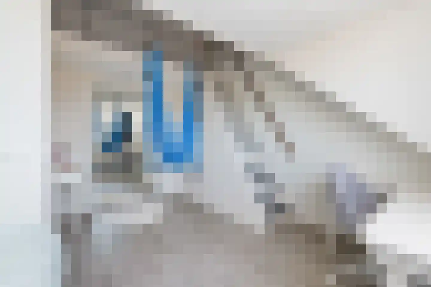Endepoellaan 83 Warmond thumbnail 37