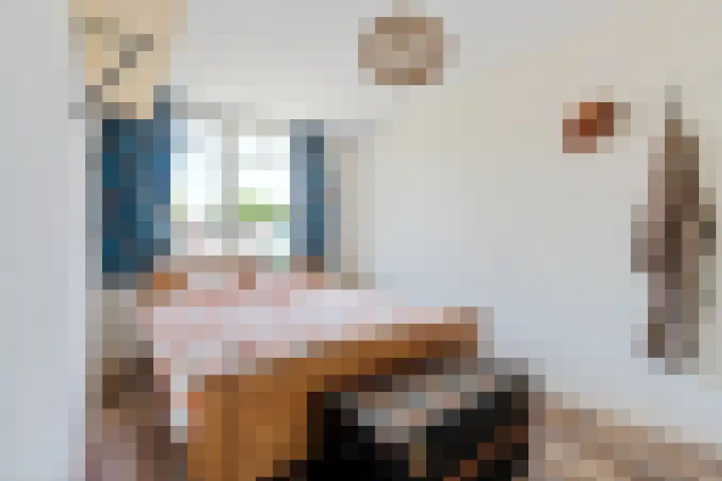 Endepoellaan 83 Warmond thumbnail 4