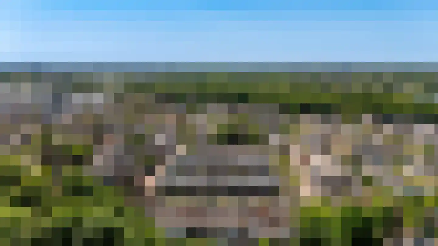 Endepoellaan 83 Warmond thumbnail 43