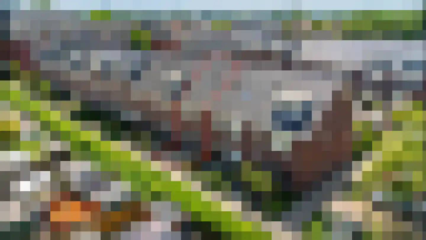 Endepoellaan 83 Warmond thumbnail 47