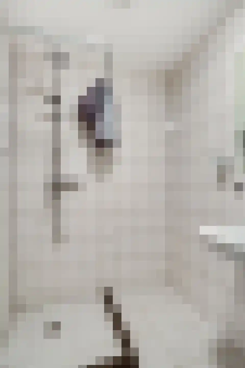 Endepoelstraat 10 Didam thumbnail 17