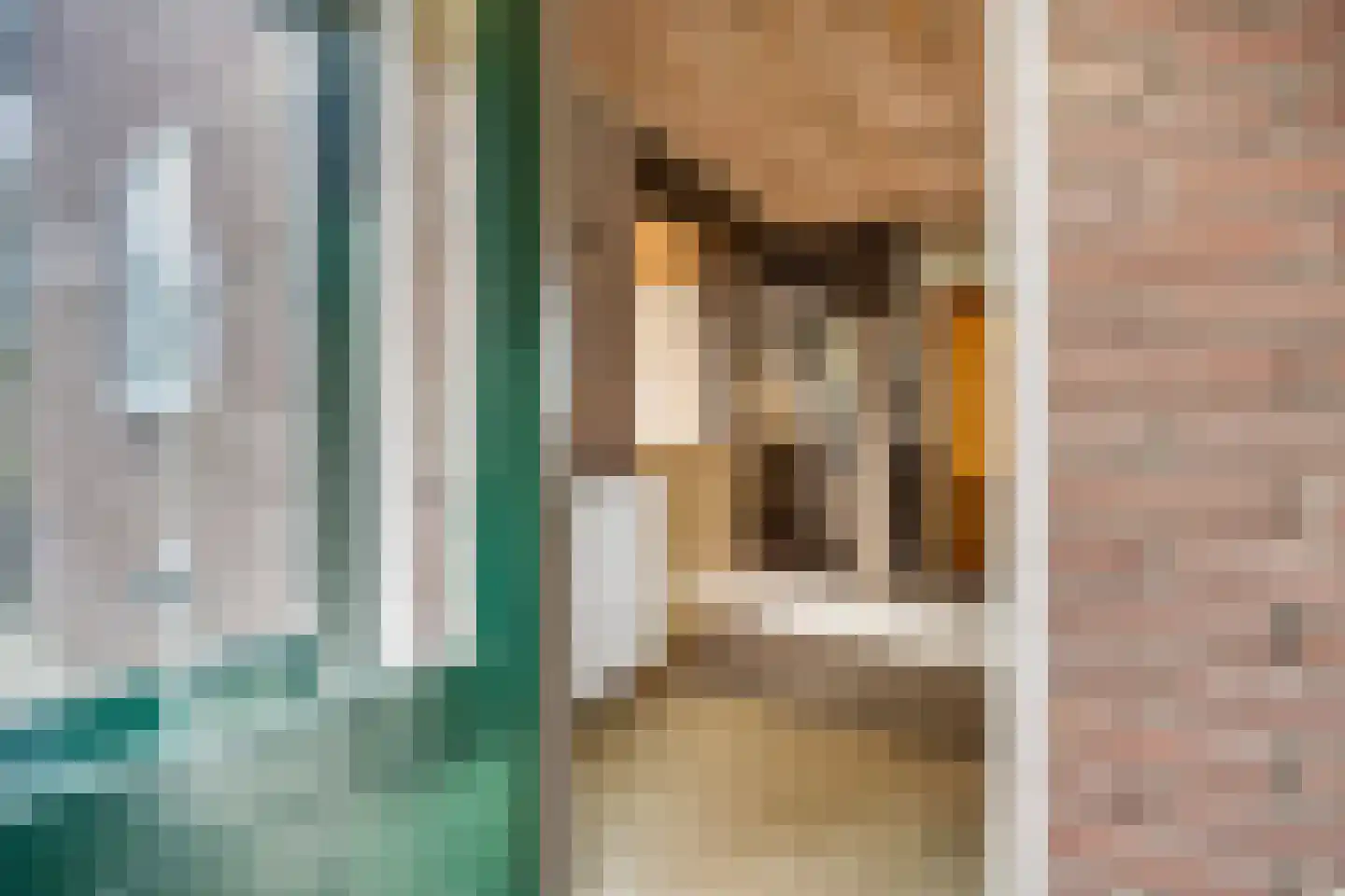 Endepoelstraat 10 Didam thumbnail 20