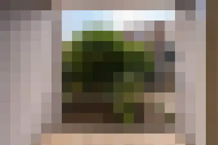 Endepoelstraat 10 Didam thumbnail 31