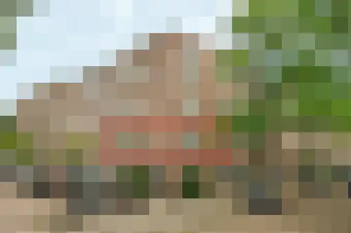 Endepoelstraat 10 Didam thumbnail 4