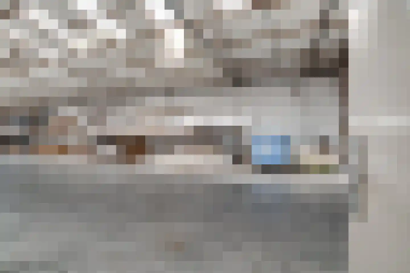 Endepoelstraat 10 Didam thumbnail 41