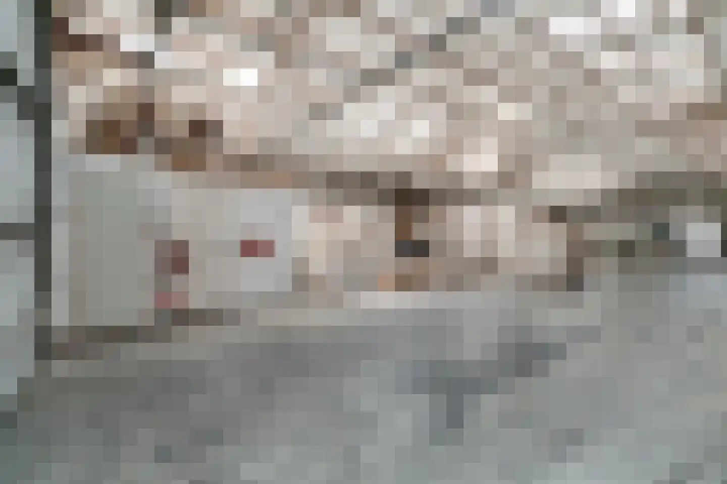 Endepoelstraat 10 Didam thumbnail 42