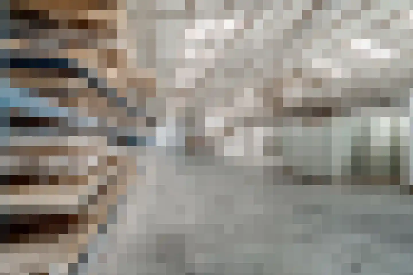 Endepoelstraat 10 Didam thumbnail 48