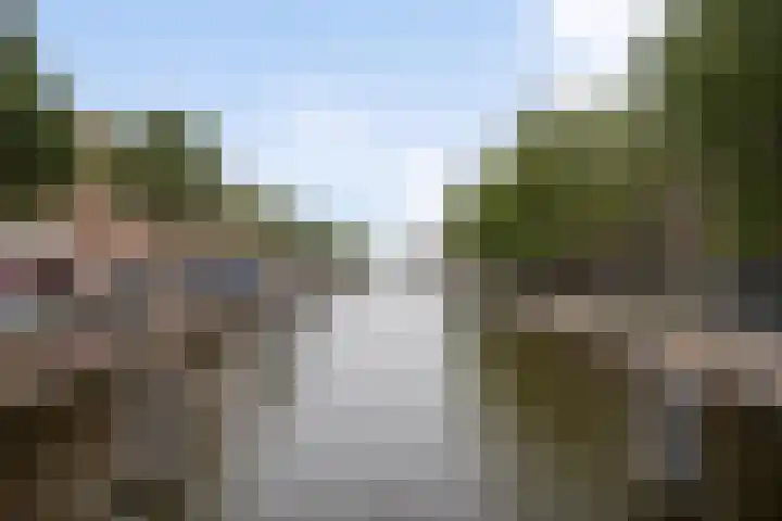 Endepoelstraat 10 Didam thumbnail 56