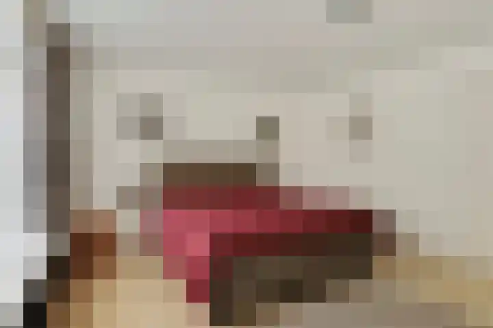 Endepoelstraat 6 Didam thumbnail 11