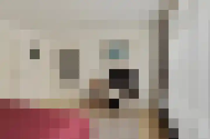 Endepoelstraat 6 Didam thumbnail 12