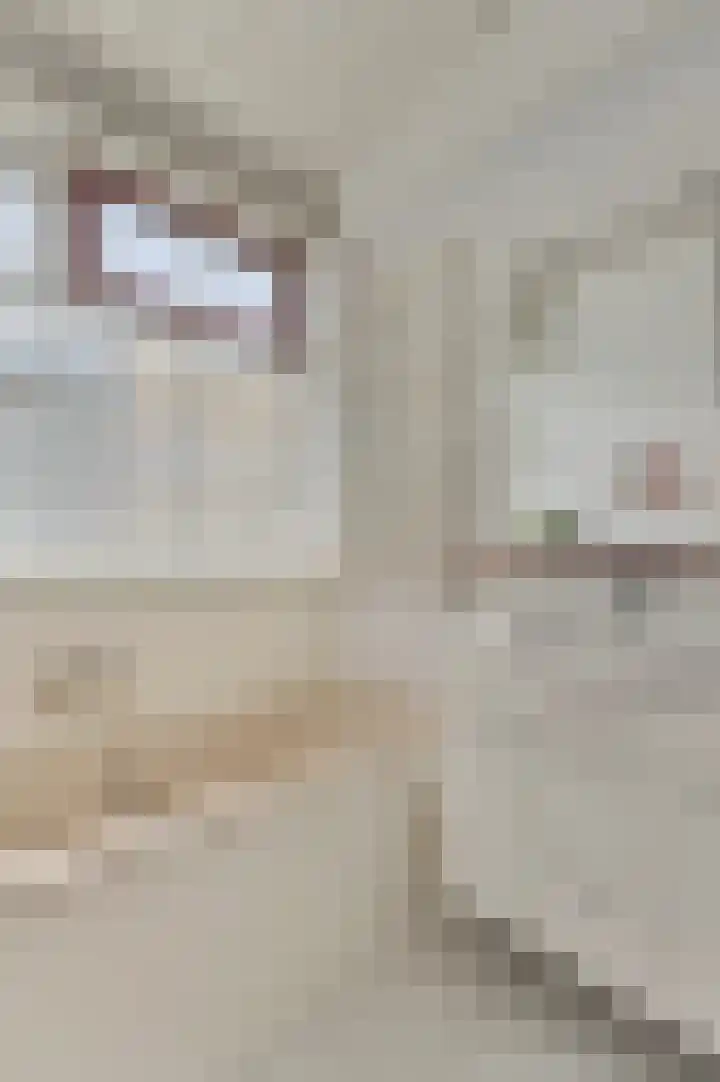 Endepoelstraat 6 Didam thumbnail 17