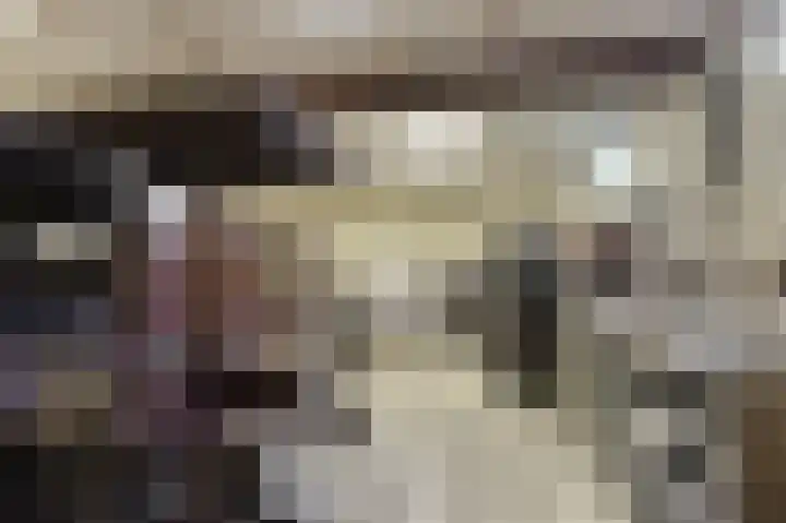 Endepoelstraat 6 Didam thumbnail 28