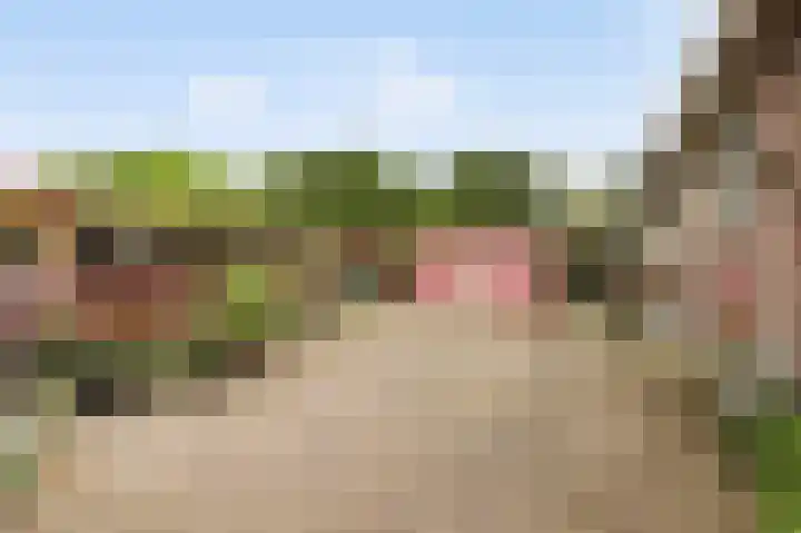 Endepoelstraat 6 Didam thumbnail 30