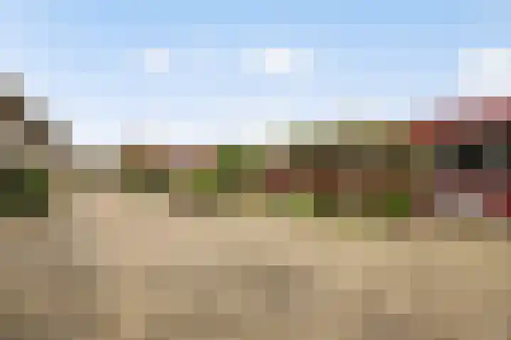 Endepoelstraat 6 Didam thumbnail 31