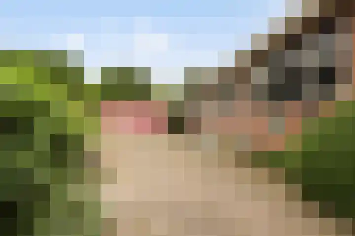 Endepoelstraat 6 Didam thumbnail 32
