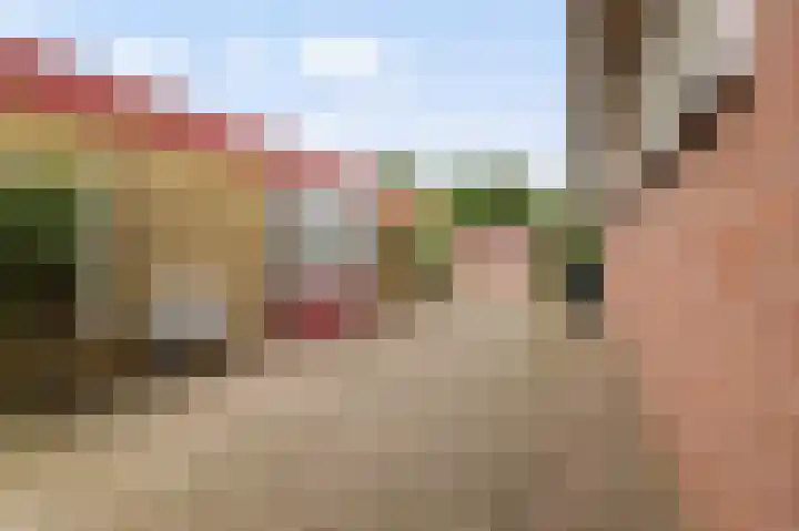 Endepoelstraat 6 Didam thumbnail 33
