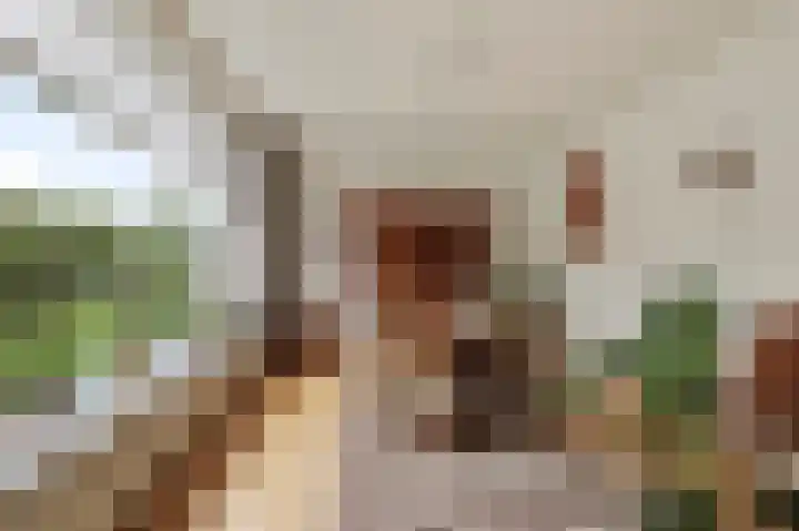 Endepoelstraat 6 Didam thumbnail 8