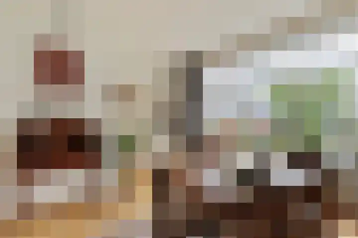 Endepoelstraat 6 Didam thumbnail 9